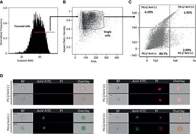 Isolation of Skin Leukocytes Uncovers Phagocyte Inflammatory Responses During Induction and Resolution of Cutaneous Inflammation in Fish